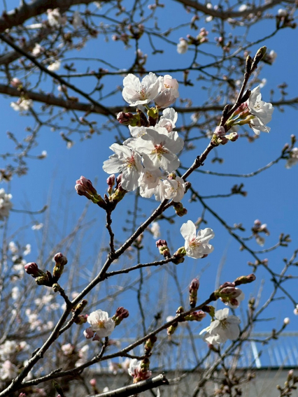 2026.3.21ミズノベースボールドリームカップ初戦